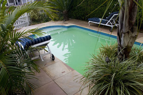 38 Crab Claw Hotell Knysna Eksteriør bilde